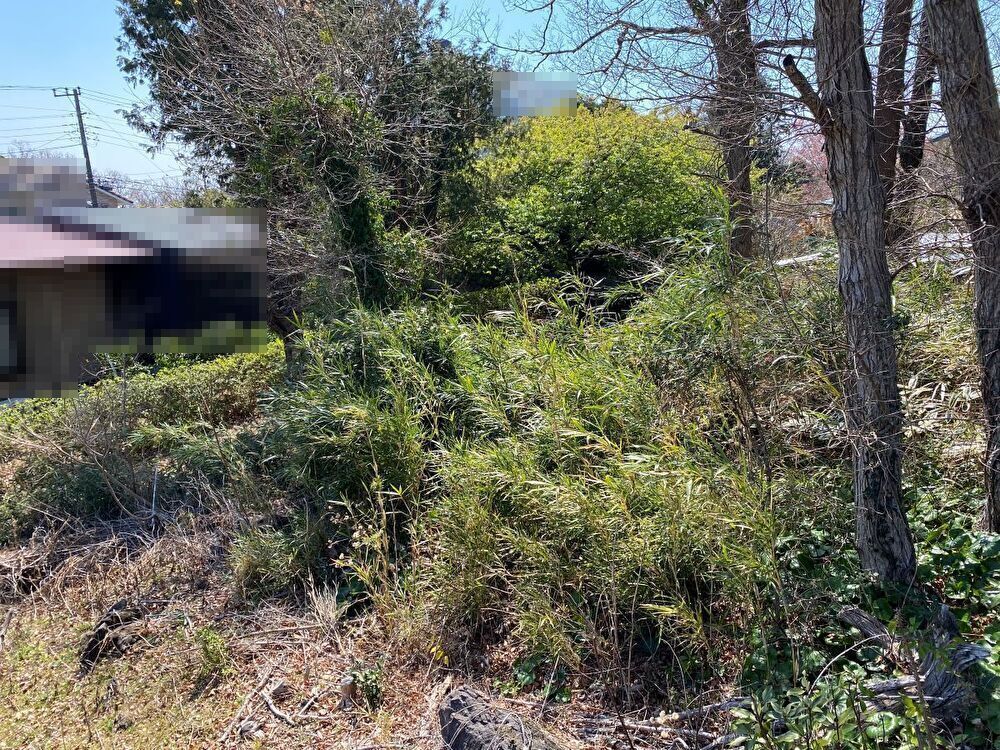写真7