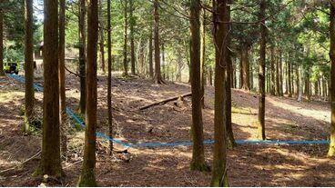 天城高原｜原生林の中で原点回帰