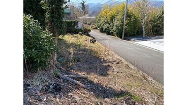 写真4