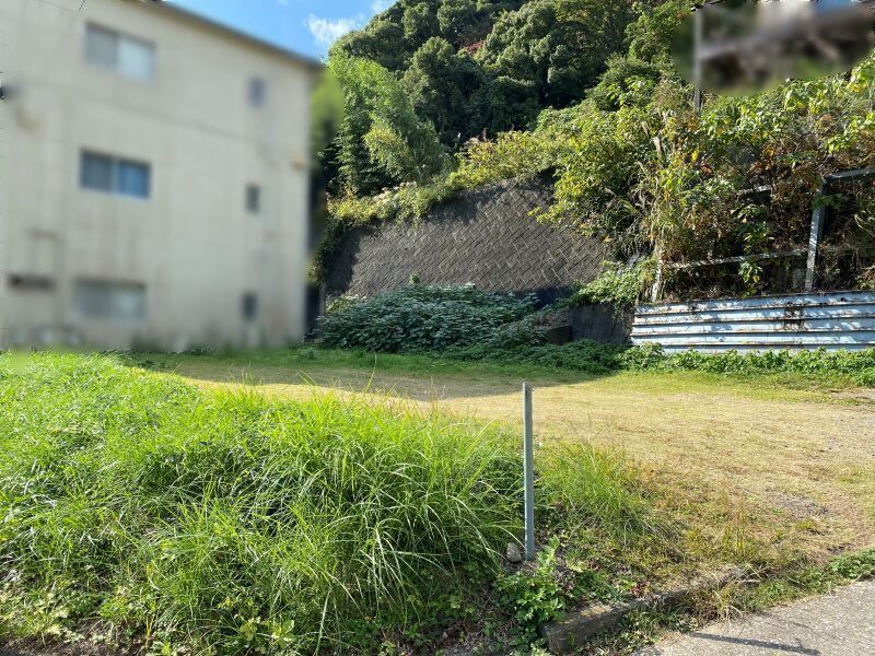 写真3