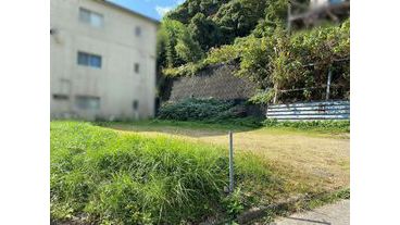 写真3