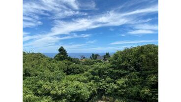 写真9