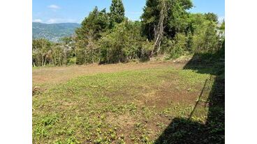 写真4