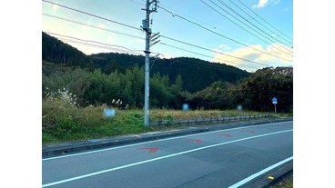 写真5
