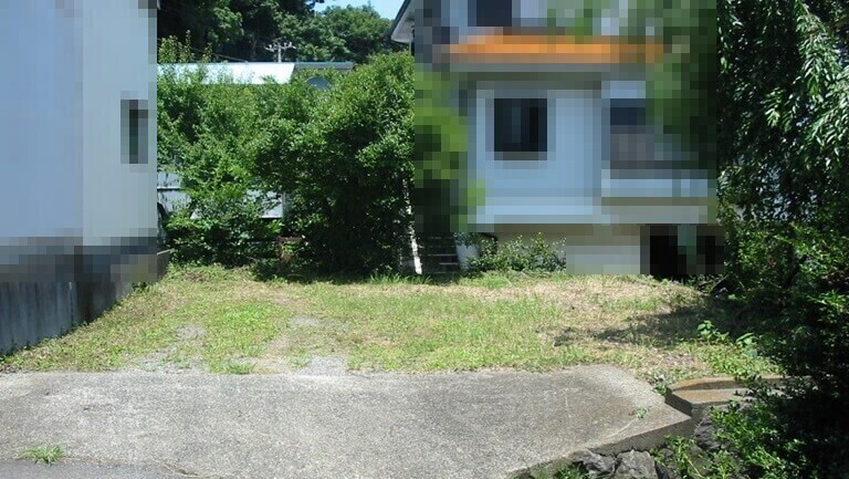 写真1