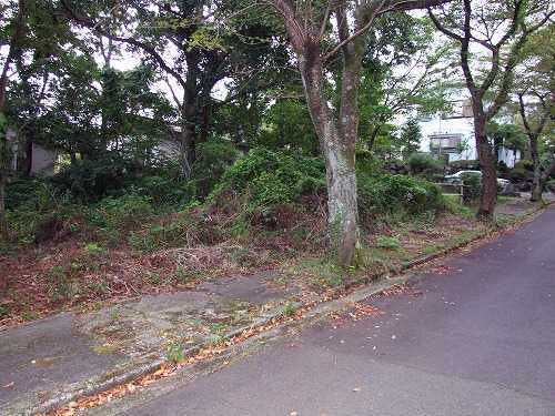 写真3