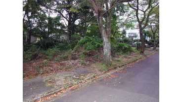 写真3
