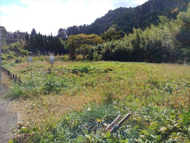 写真3