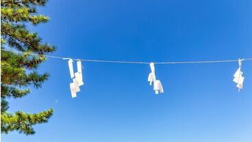 祭りだ祭りだ…