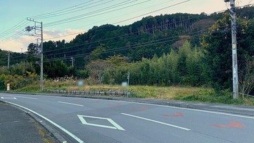 池｜大室山ふもとの里山　平坦地900坪超の事業用地