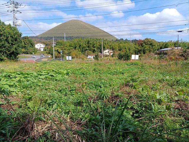 写真2