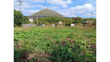 写真2