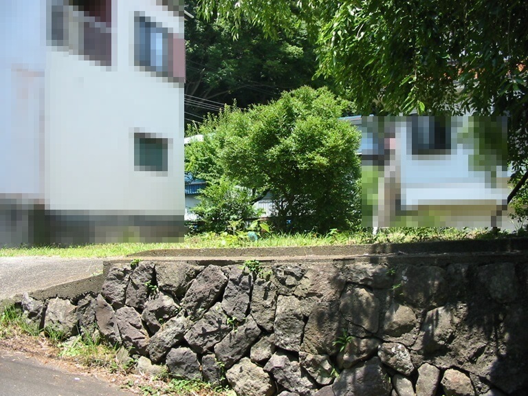 写真3