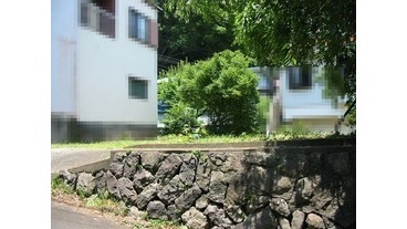 写真3