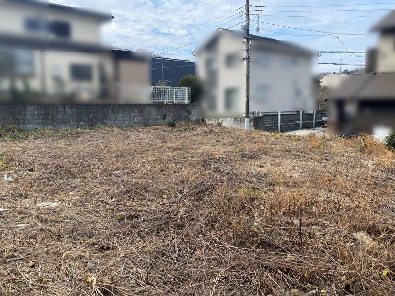 写真4