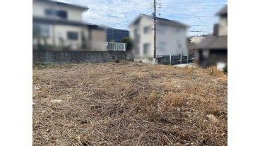 写真4