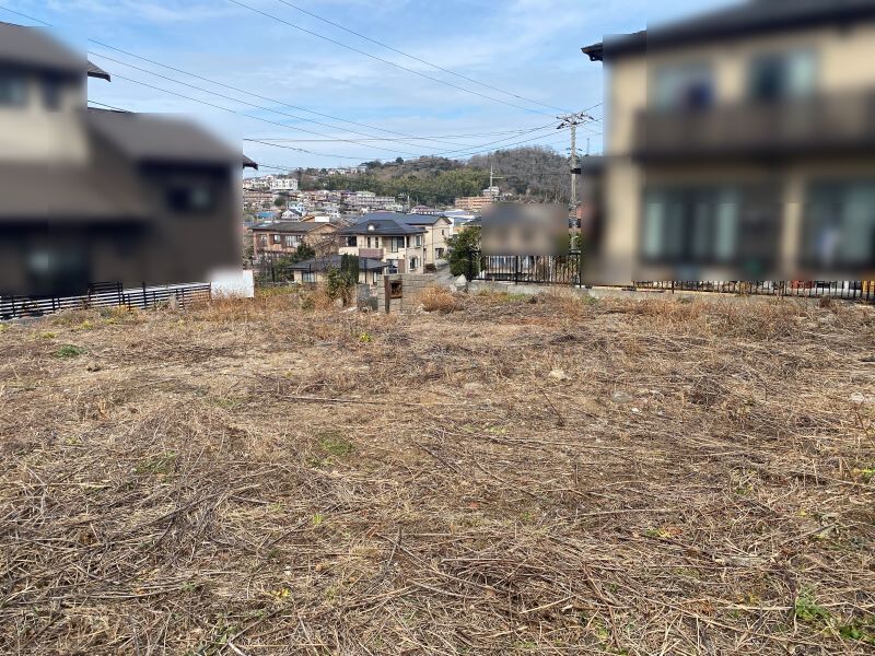 写真3