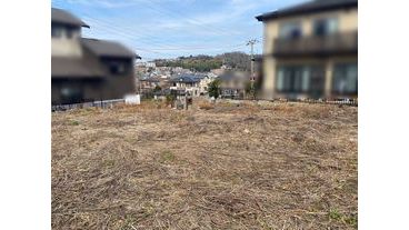 写真3