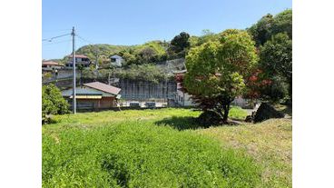 写真2
