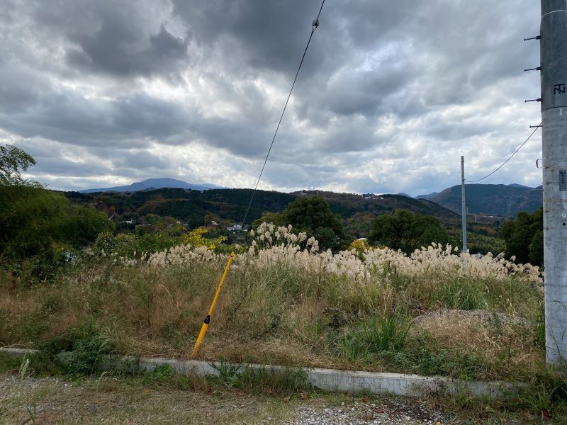 写真3