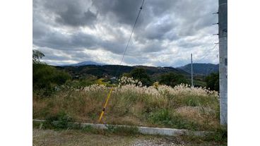 写真3