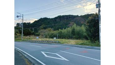 写真4