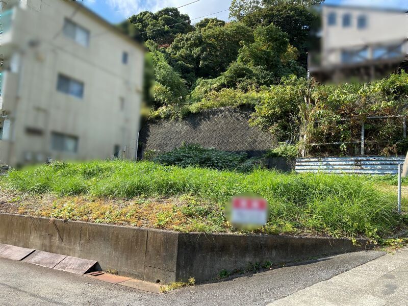 写真4