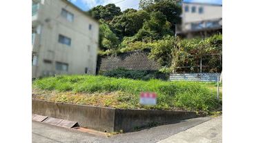 写真4